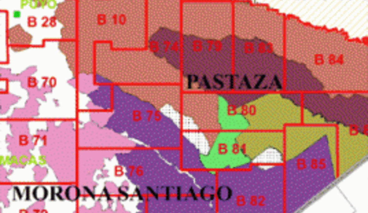 Ecuador will Regenwald an Ölgesellschaften versteigern