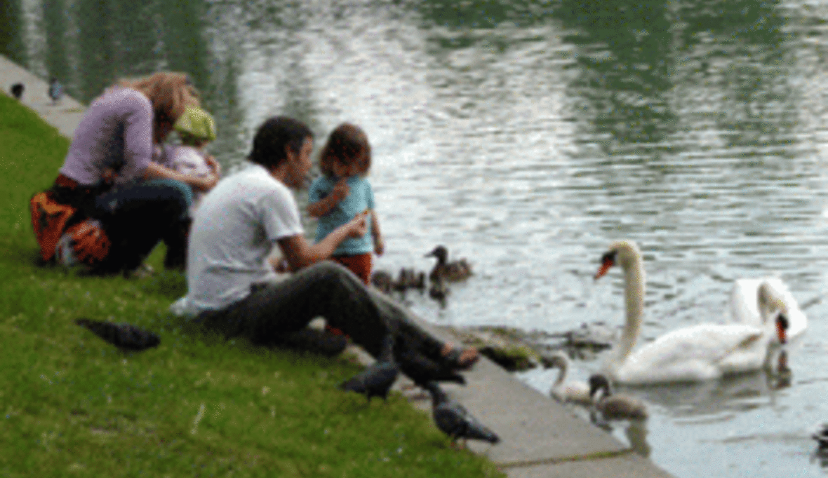 Vermögende setzen verstärkt auf immaterielle Werte