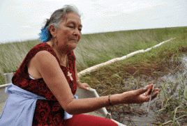 Foto: Rainforest Action Network