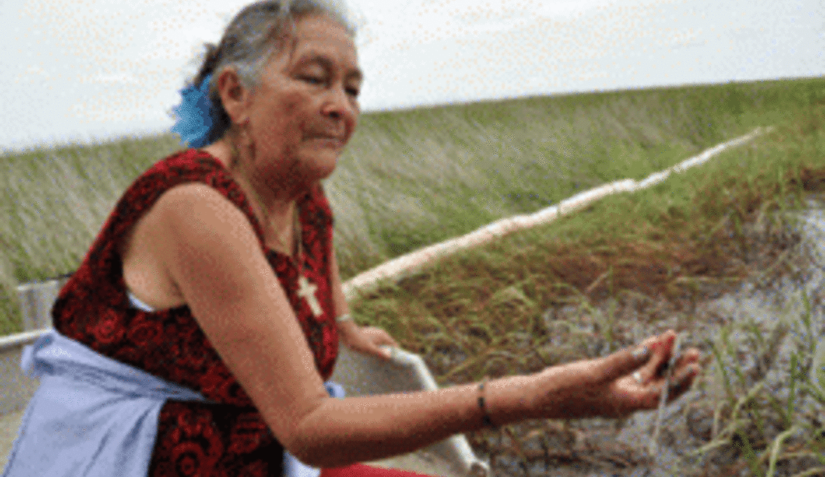 Viele Küstenbewohner am Golf überlegen Umzug