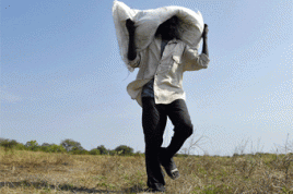 Foto: Fred Noy/UN Photo