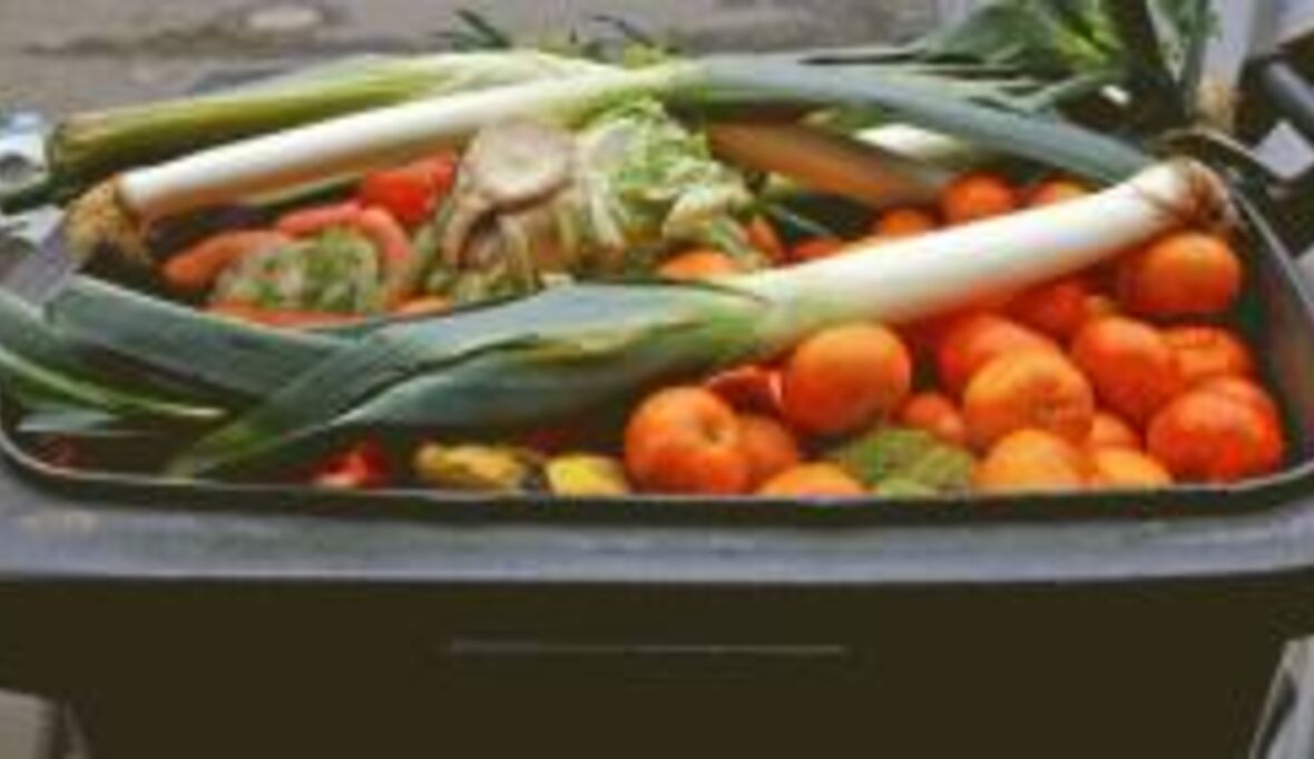 Weniger Lebensmittelreste durch Innovation und globale Zusammenarbeit