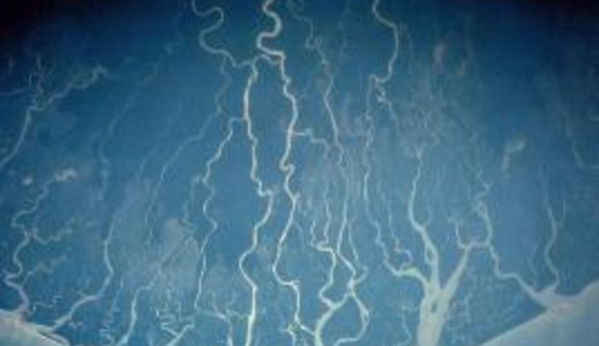 Shell soll im Nigerdelta Ölförder-Schäden beseitigen