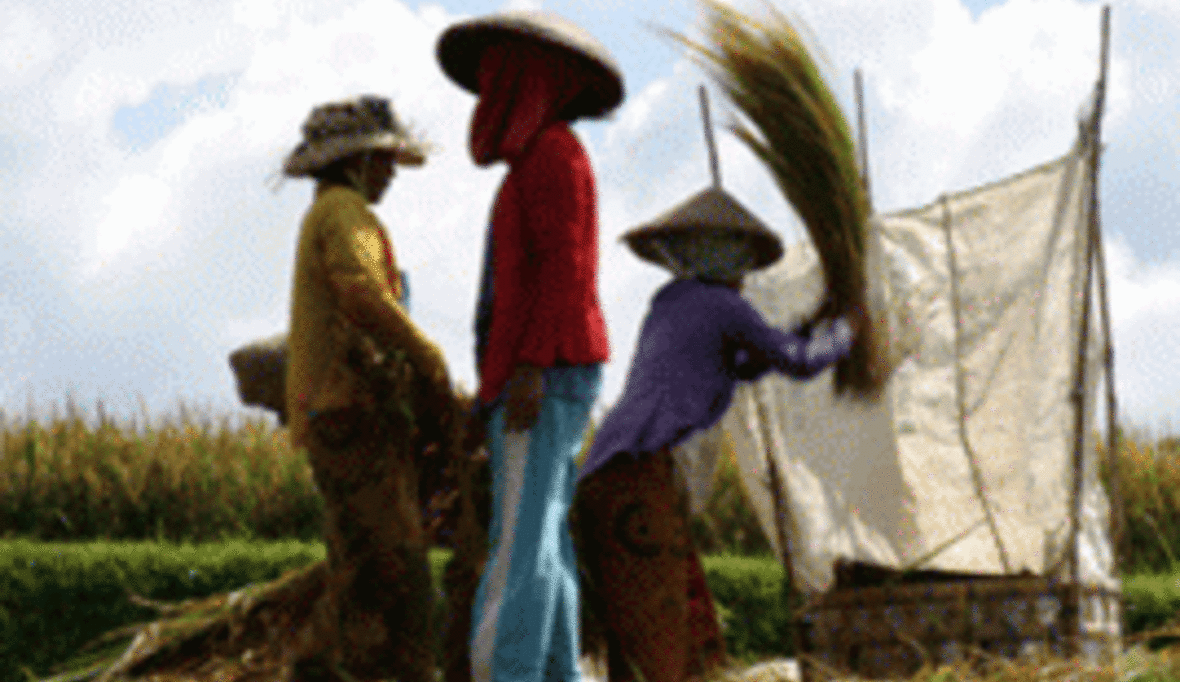 Neue Versicherung hilft bei Ernteausfall