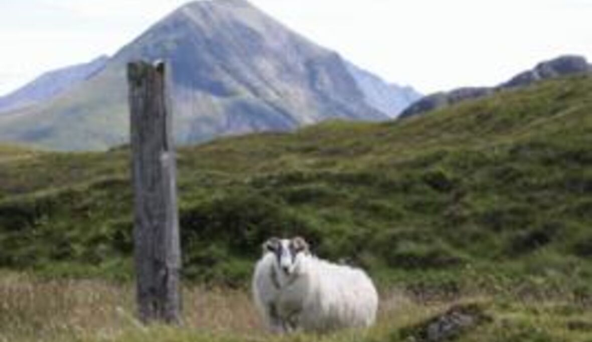 Schottland plant "Null-Müll-Gesellschaft"