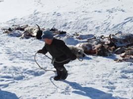 Foto: UBS TV/Orgil B