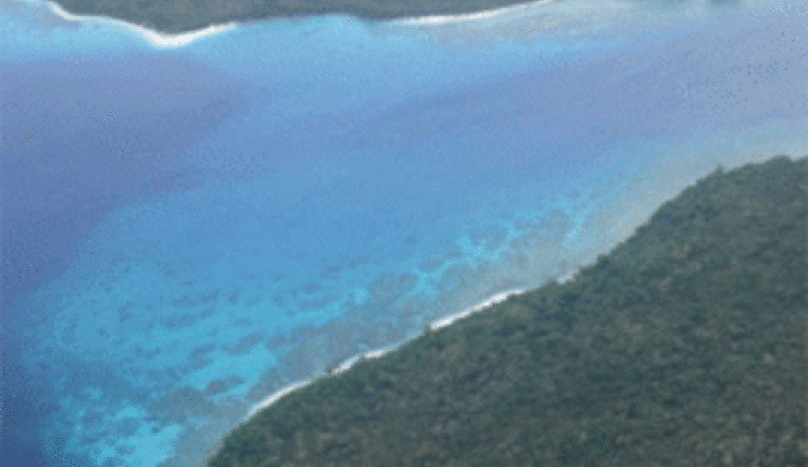 WeltRisikoBericht: Ökosystem wird weiter zerstört