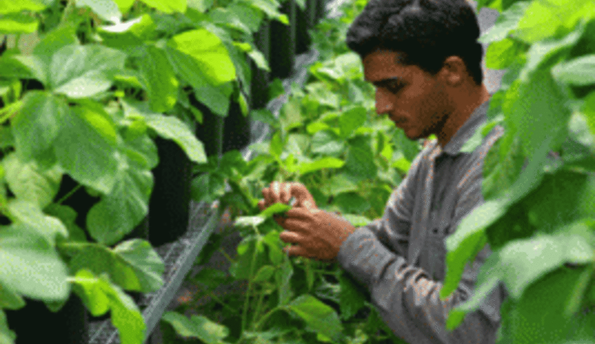 BASF und Shell streiten wegen Umweltschäden in Brasilien