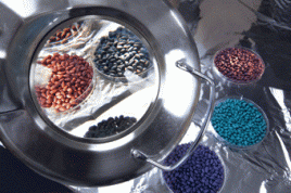 Gebeiztes Baumwoll-Saatgut. Foto: Bayer CropScience AG