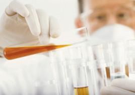 Verantwortungsvolle Beschaffung und eine Verbesserung der ökologischen und sozialen Standards bei Lieferanten in der Chemiebranche, Foto: Evonik