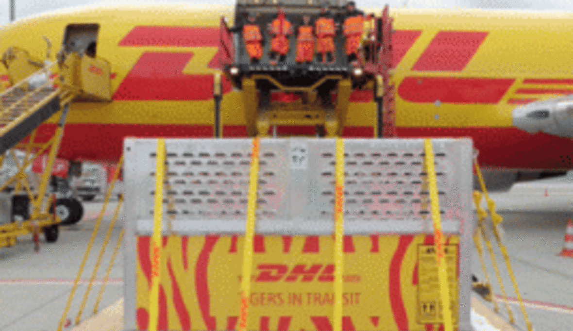DHL transportiert seltene Sumatra-Tiger