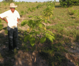 Baumpflanzaktion in Kolumbien. Foto: DPD/South Pole Carbon