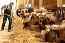 Foto: McDonald´s Deutschland Inc./Matthias Mehlen