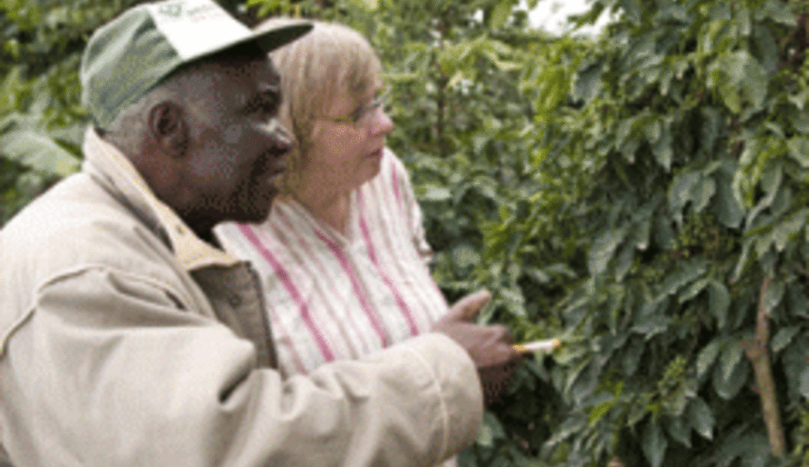 Tchibo Mount Kenia Projekt: Kaffee aus nachhaltigem Anbau im Handel erhältlich