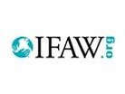 Logo IFAW